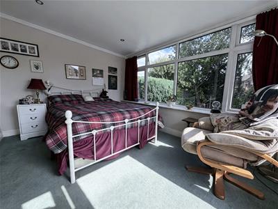 Picture 12